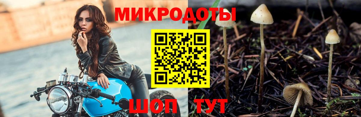 Галлюциногенные грибы MAGIC MUSHROOMS  Вход с VPN  Псилоцибиновые грибы Psilocybine cubensis  Реутов 